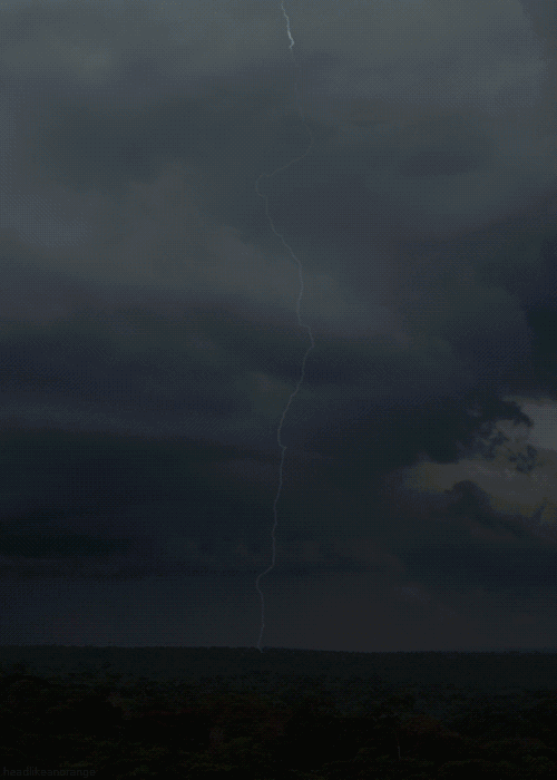 大自然|龙卷风|力量_新浪新闻