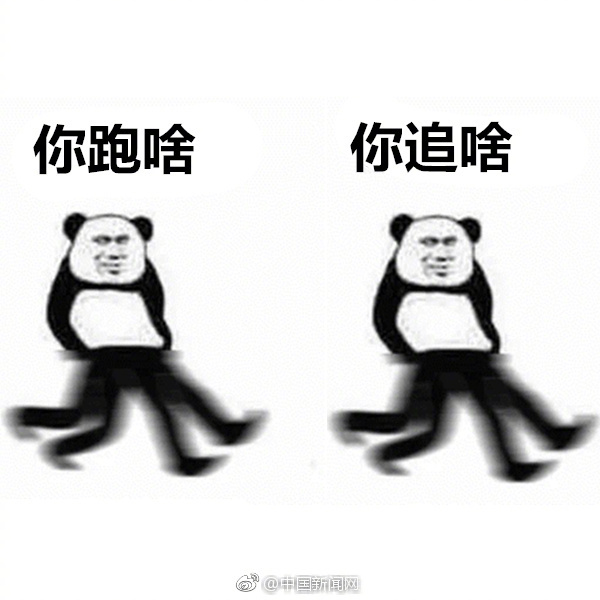 警察:别跑,你冰箱掉了[笑cry]-新浪汽车