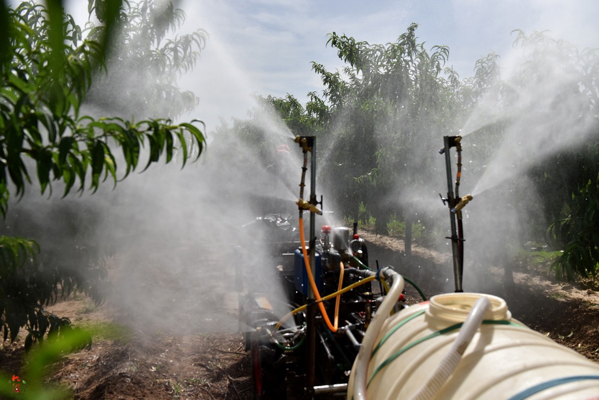 61岁农民发明果树喷药神器效率提高5倍可一机两用