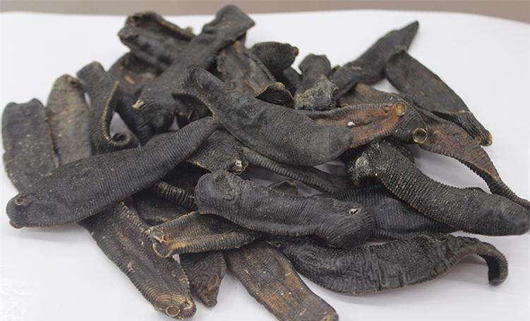 蚂蟥|水蛭|蛭_新浪新闻