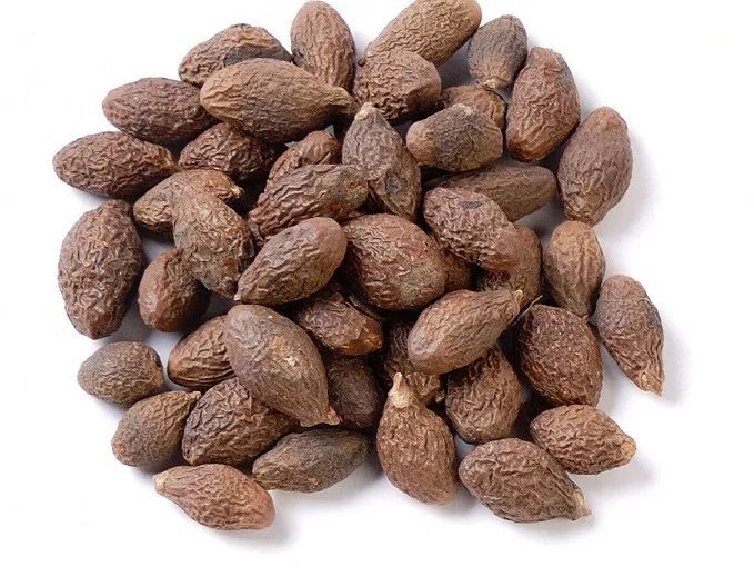 肺部"大救星"!常吸烟的人一定要多吃!|胖大海|咽喉|咳嗽_新浪新闻