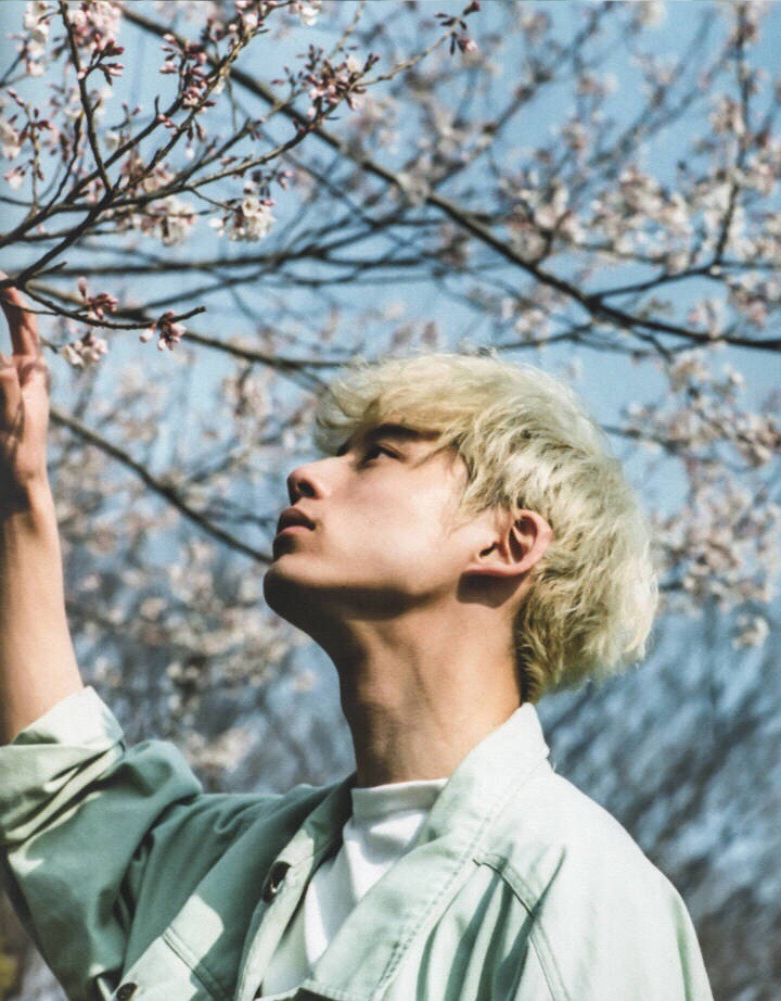 坂口健太郎 | 写真集越来越撩人的盐系男孩