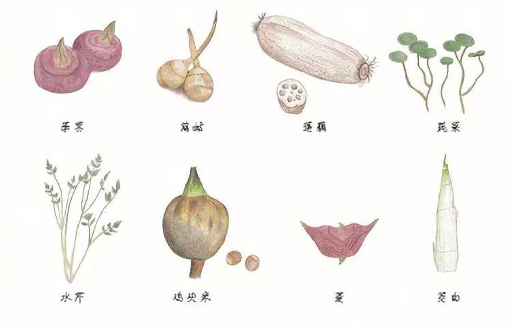 这道菜好吃到一口气来2碗饭