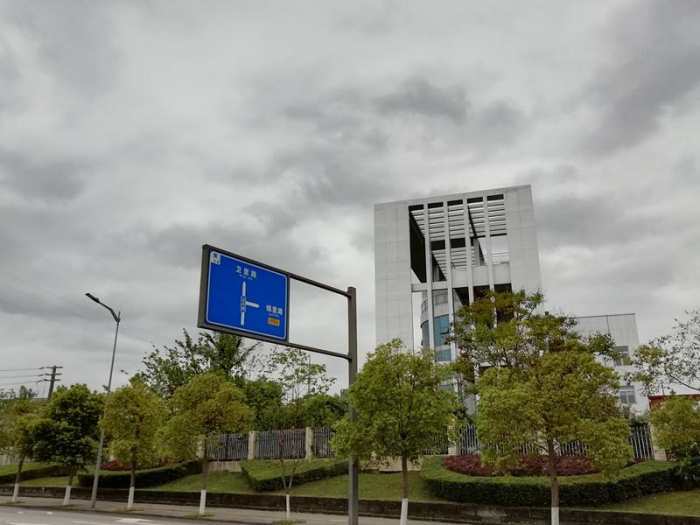 板仓不仅有梧桐大道,还有自贡最美的蔷薇花墙!