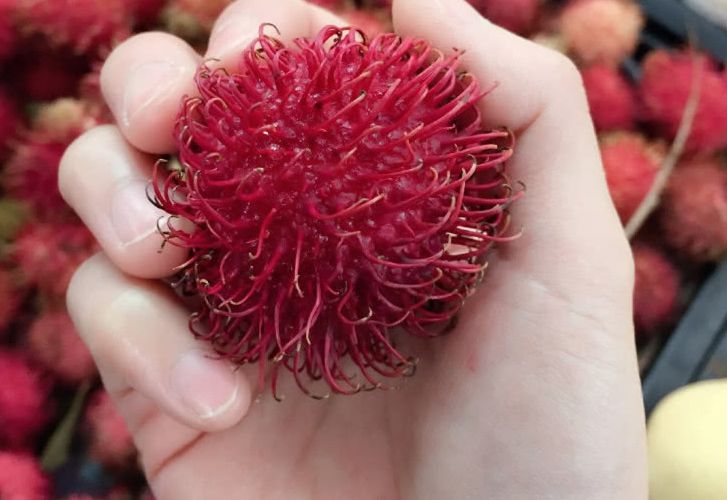 试吃一种北方非常少见的水果,大部分的北方人肯定只见过没吃过