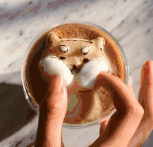 可爱度爆表的3d咖啡拉花,简直爱到犯规!