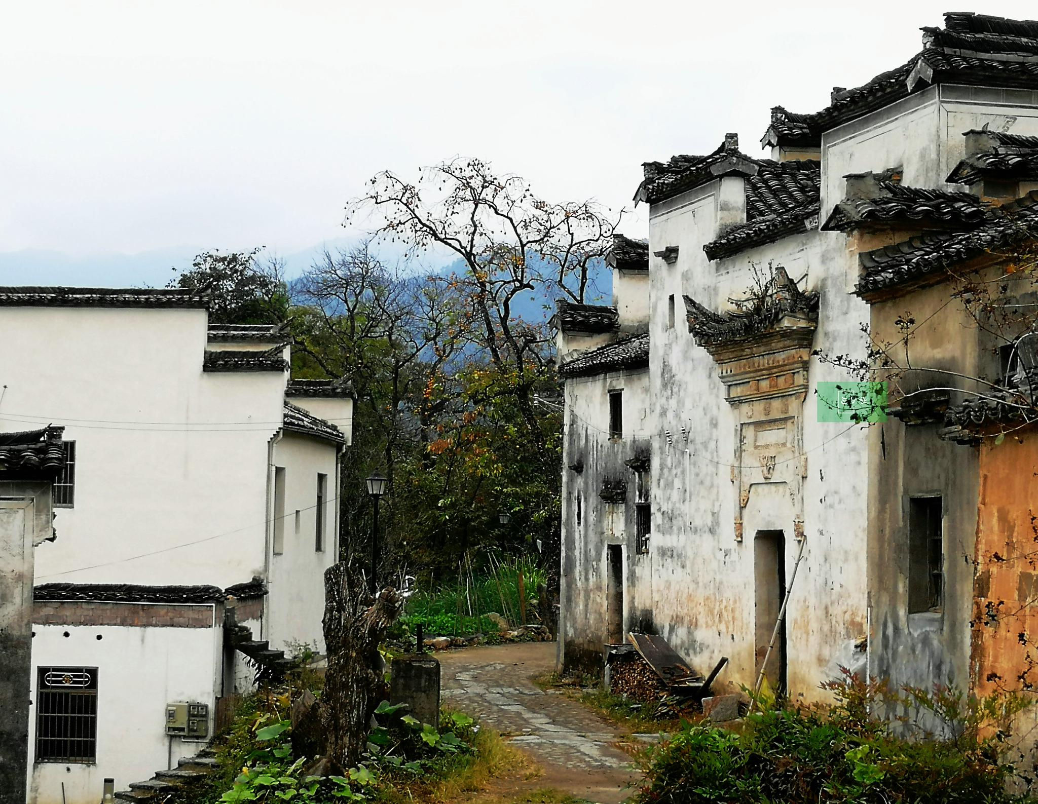 手机拍摄"画里的乡村",控制色调拍出不一样"秋意"乡村场景
