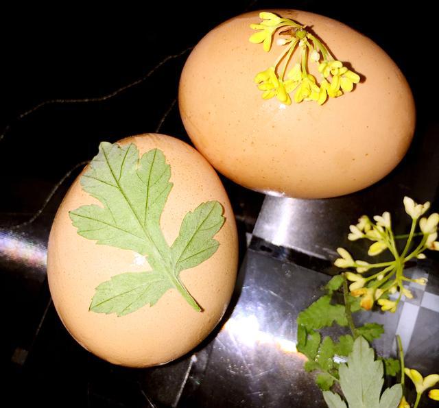 花式炫彩奇趣植染蛋,营养美味可以这样吃!