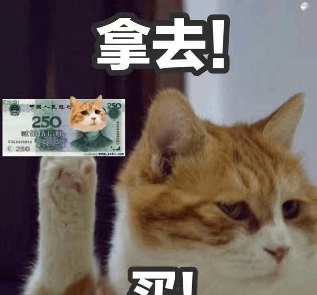 买二哈后肠子悔青, 整天揍, 它却让我第一次赚到年终奖