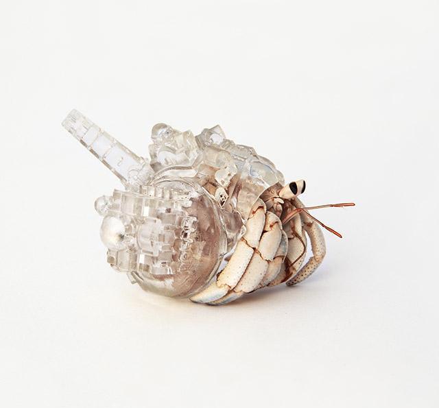 建筑城市风景装饰的半透明寄居蟹