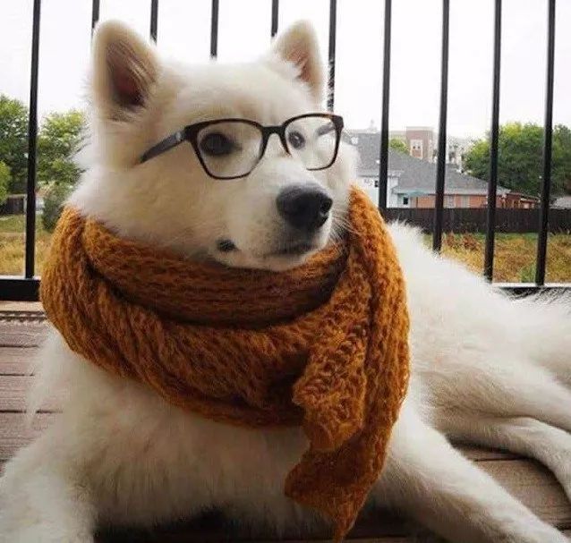 瞬间懵得一脸,没想到啊没想到