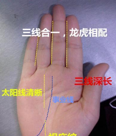 1,祖庇纹的富婆手相:这位福主手形得体,三线合一,龙虎相配,运势根基
