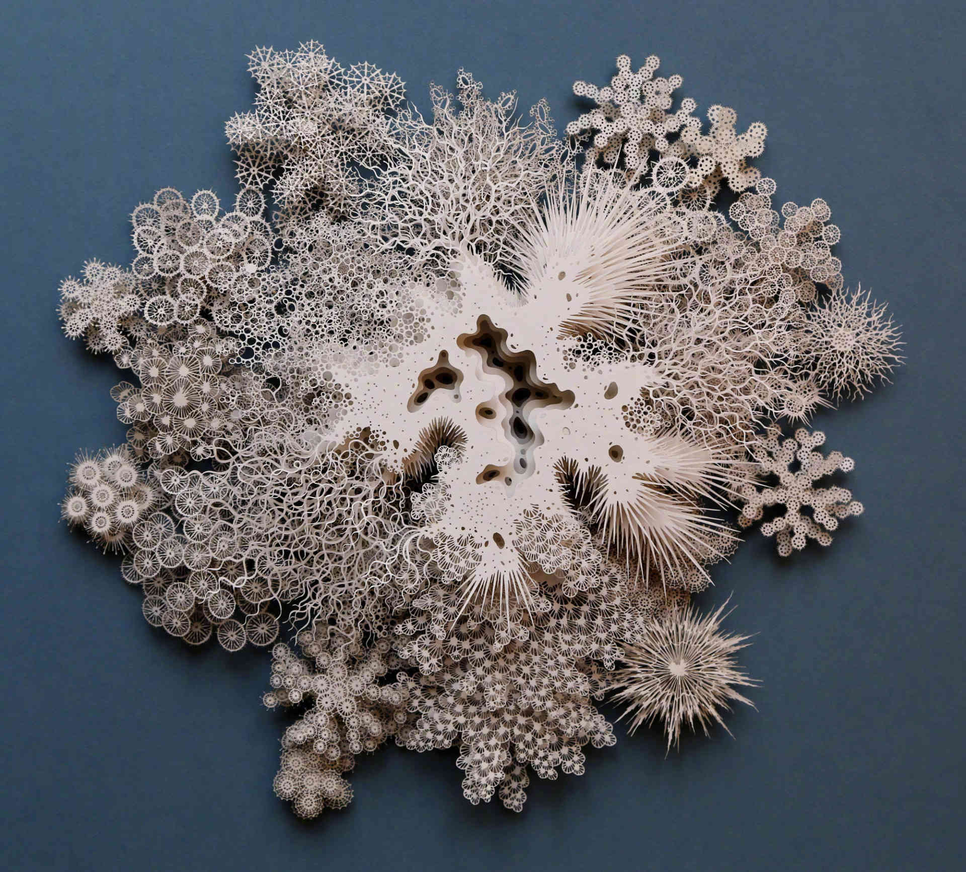 艺术家rogan brown的纸刻作品