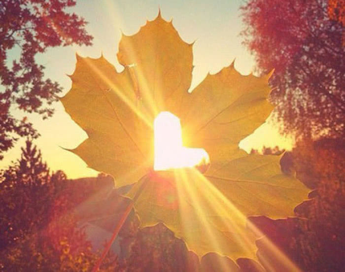 太阳一天比一天大,对于9点半上班的车友,不知道有多少是被太阳光给叫