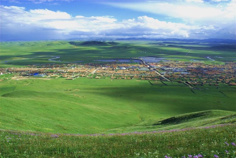 高原|河南县|青海_新浪新闻