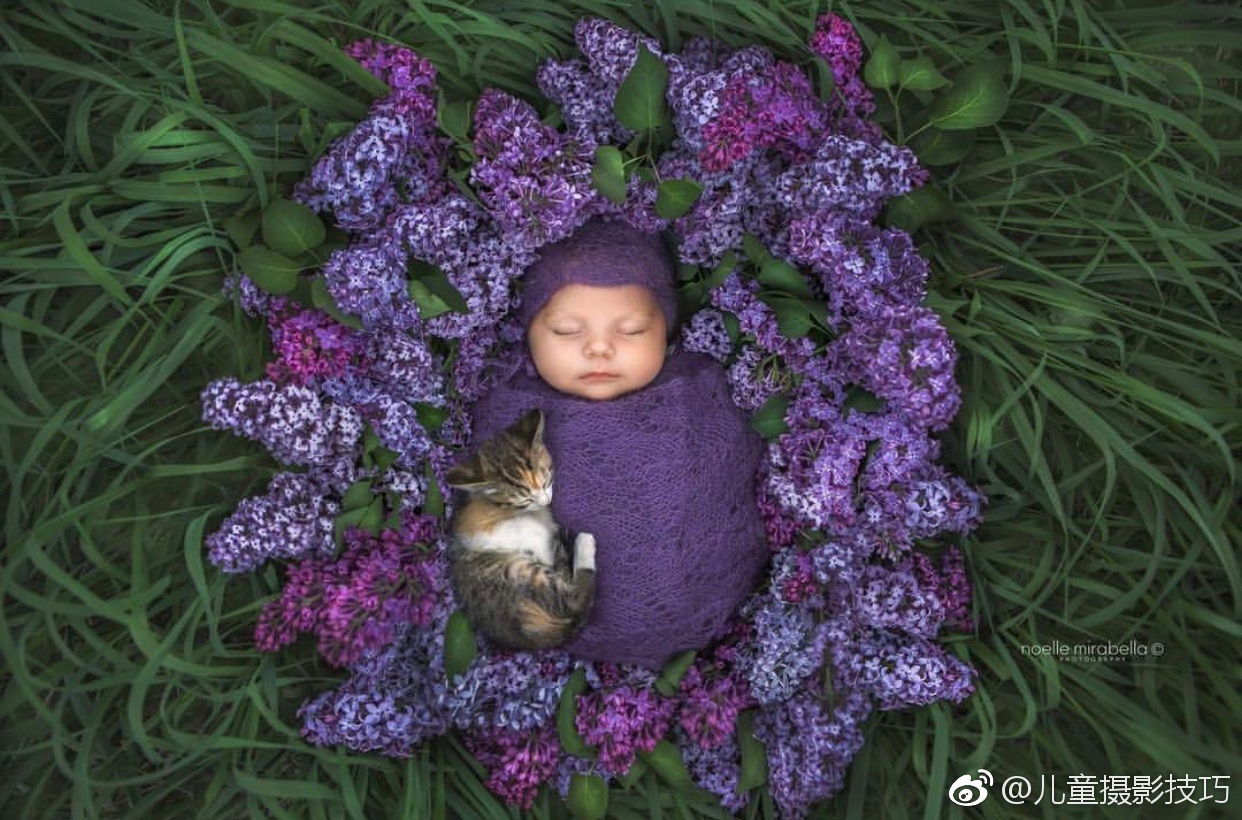 国外摄影师noelle mirabella拍摄的新生儿作品
