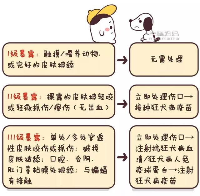 死亡率100小区里看到这种狗一定要带娃立刻避开