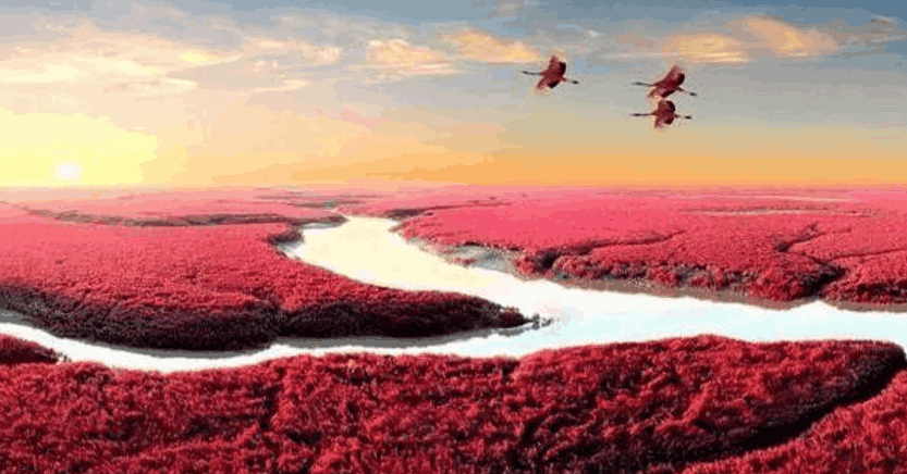 地球上最奇特而神秘的5个自然奇观, 有2个在中