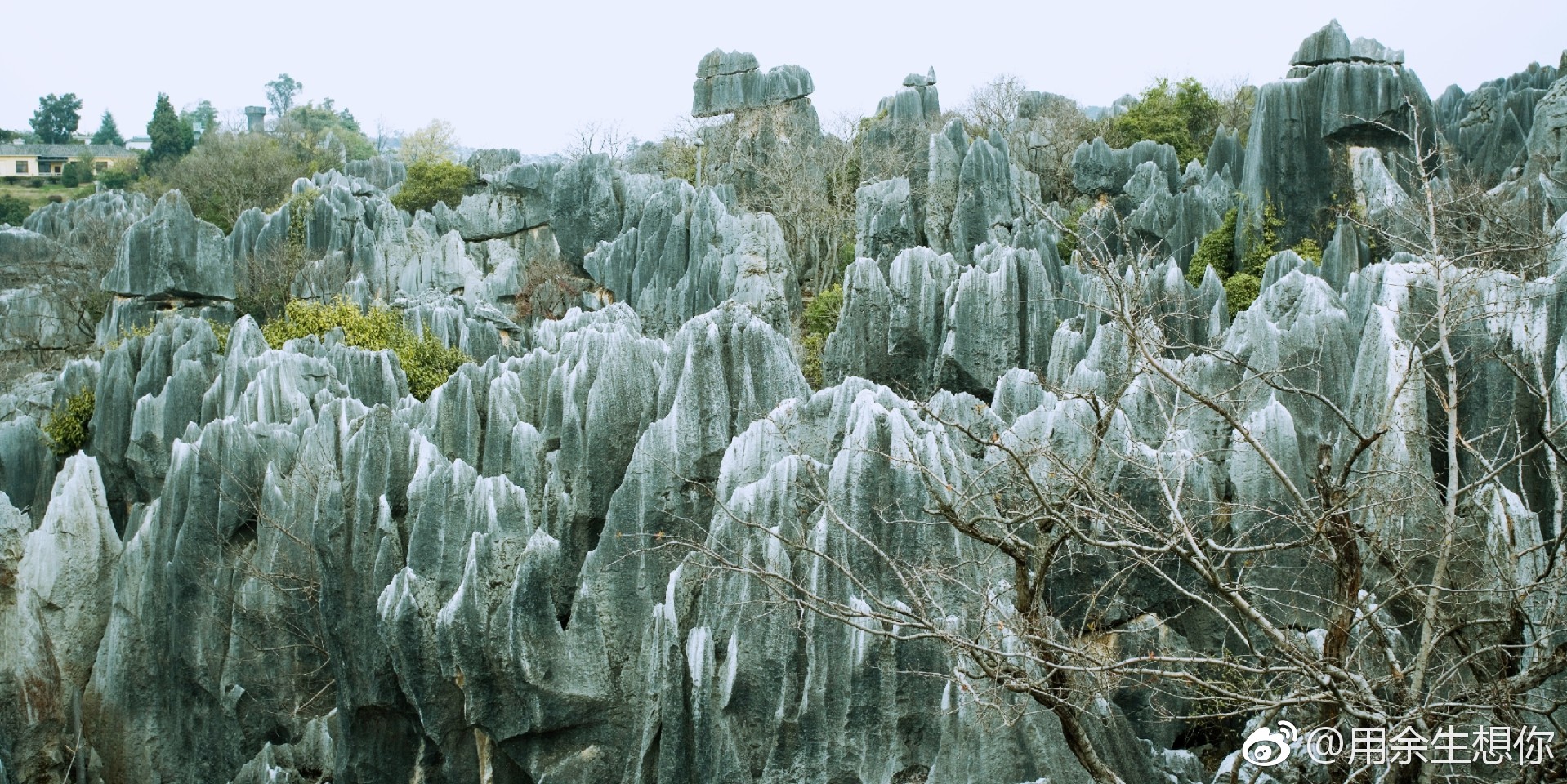 石林风景区stoneforestscenic