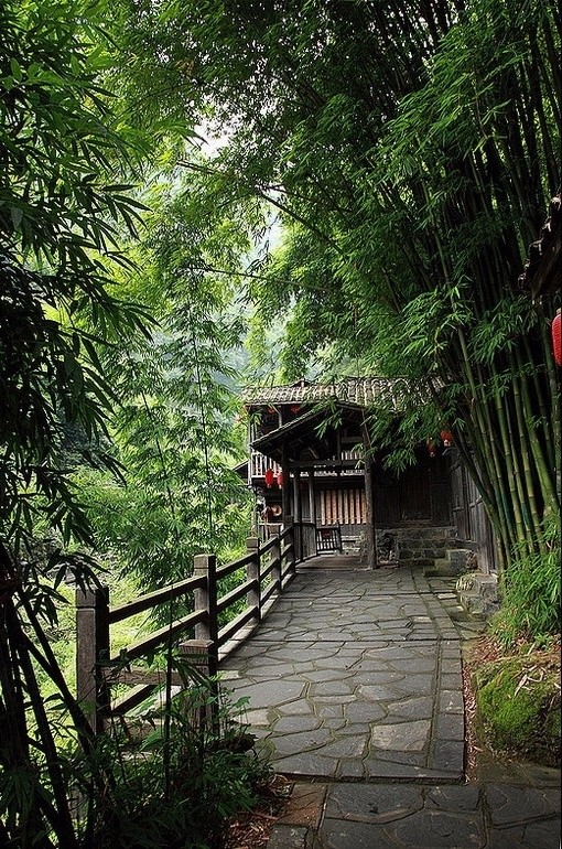 择幽山静地,筑茅庐栖身|乔岳|霁月光风|竹黄_新浪新闻