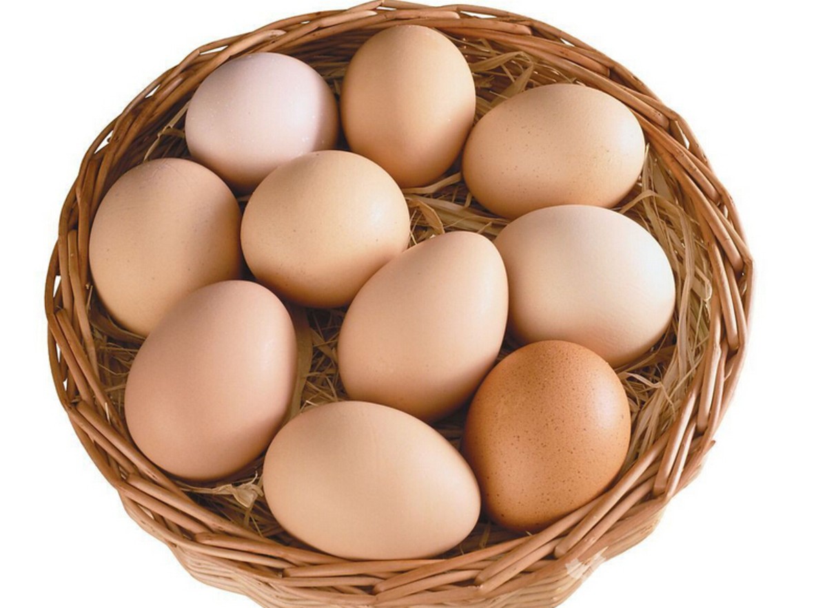 每天吃一个鸡蛋可以降低罹患心血管疾病的风险