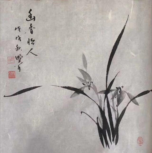 国画写意兰花,大朴大雅的神韵和花质的素洁如少女风姿,灵动清韵|兰花|兰叶|清韵_新浪新闻