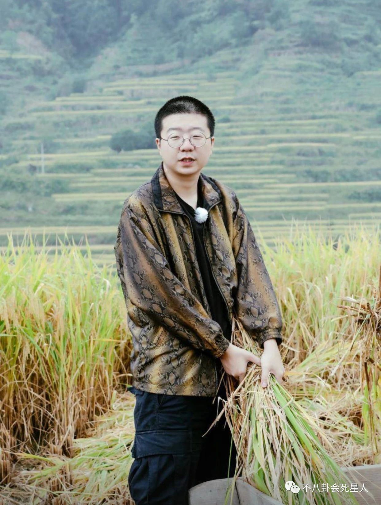 汪涵新综艺全方位撞脸《向往的生活》是老友默契还是一哥之争?