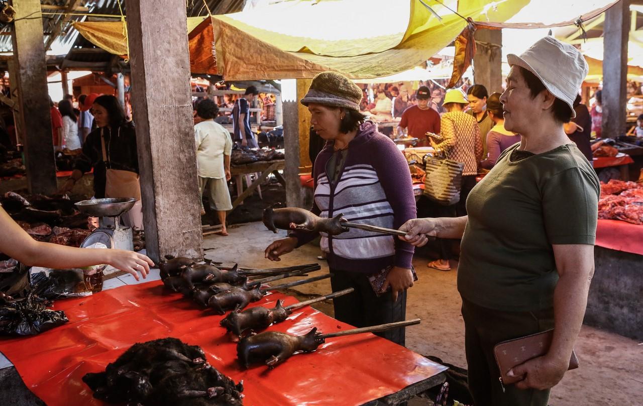一组图片直击全球最恐怖的农贸自由市场, 一个动物也不放过