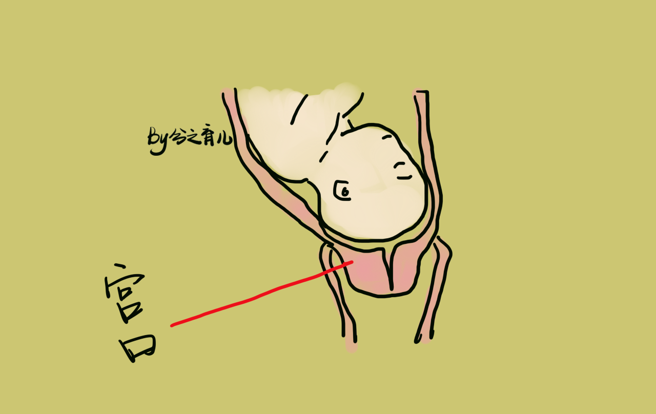 女性是不是生过宝宝,这些部位看看便知,骗不了人的!