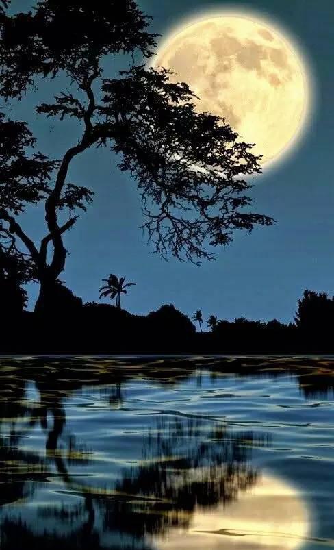 刚出炉的世界上最美的月亮美到窒息