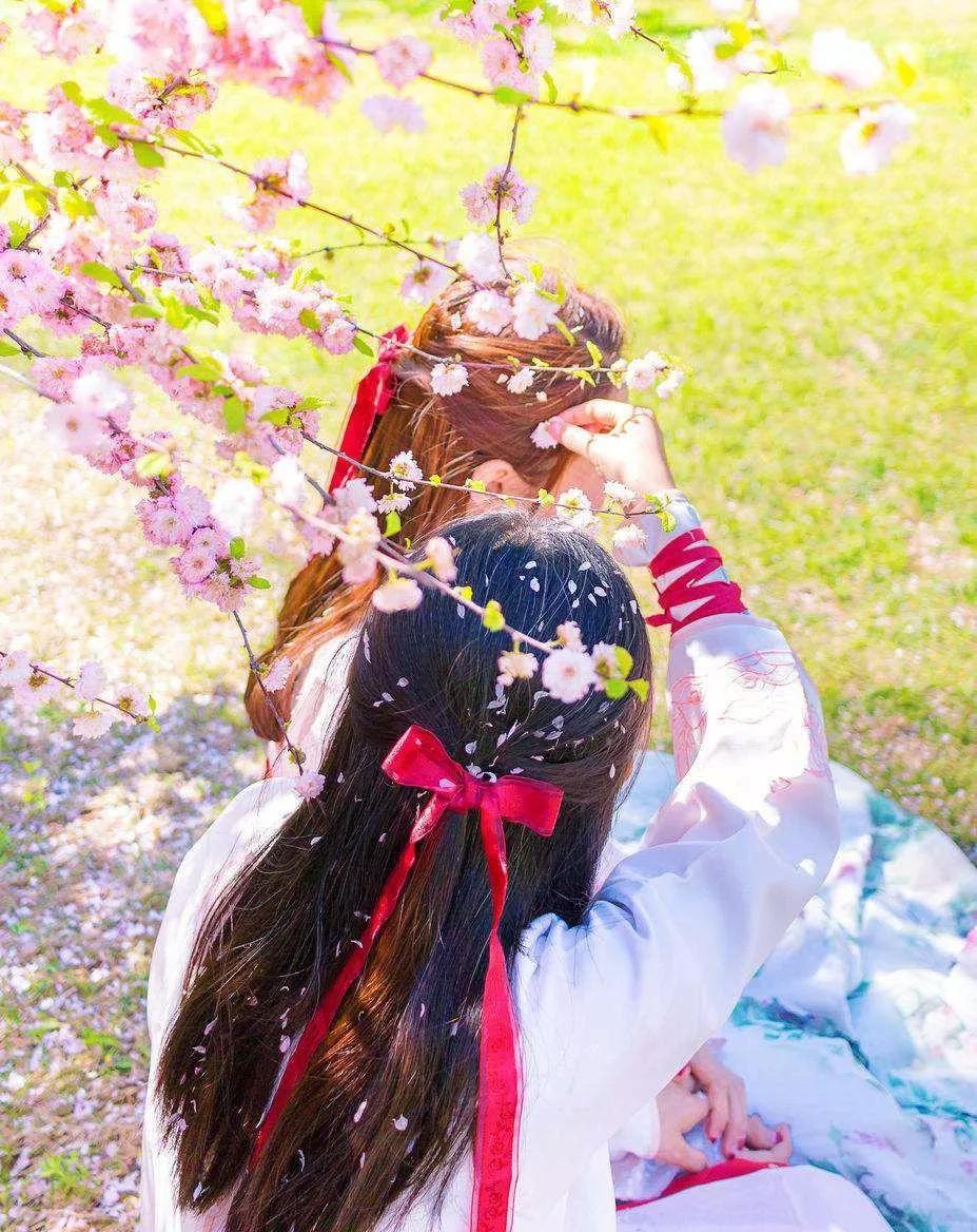 正文  关键词:古风,文艺小清新,二次元               寺庙和樱花的