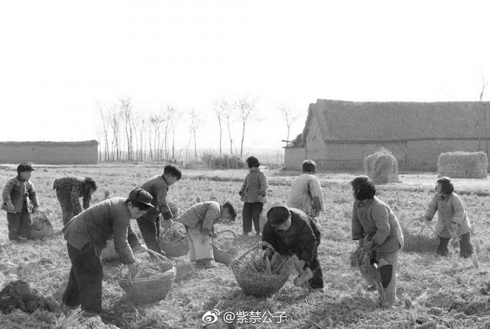 老照片：上世纪50年代中国小学生的日常 老一辈的共同回忆