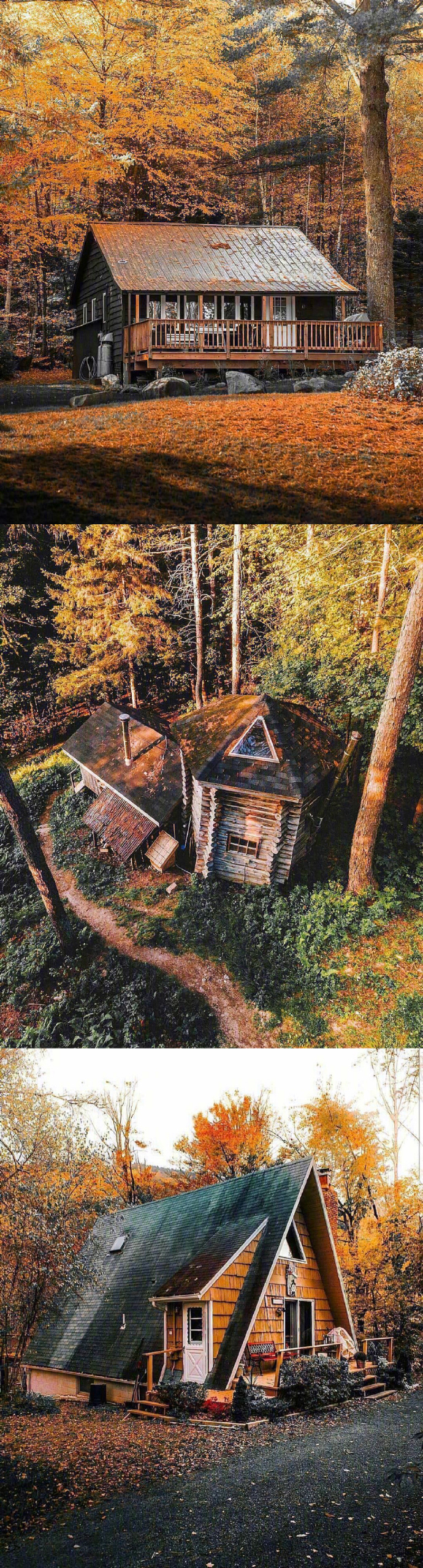 森林里的房子,你喜欢吗