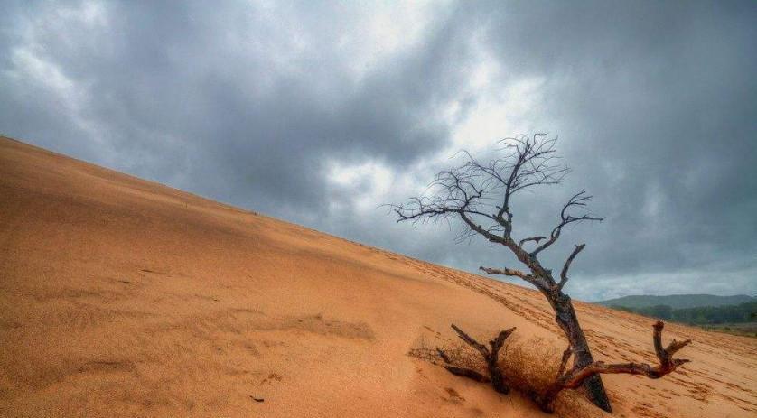 寸草不生的百年干旱沙漠, 一场雨过后, 从地狱变成了童话世界