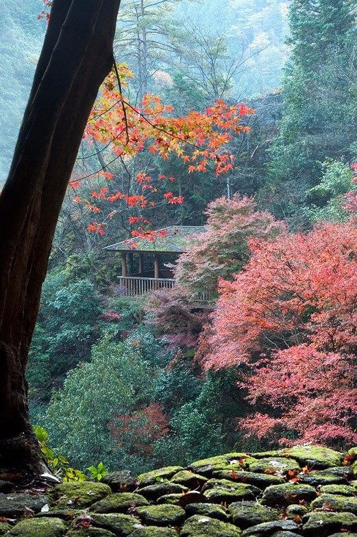 择幽山静地,筑茅庐栖身