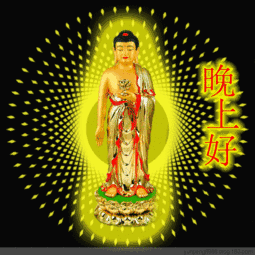 最新漂亮晚上好动态表情包晚安温馨简短语录
