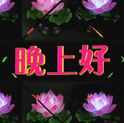 最新漂亮晚上好动态表情包 晚安温馨简短语录|梦甜甜|梦伴|今夜星光灿烂_新浪新闻