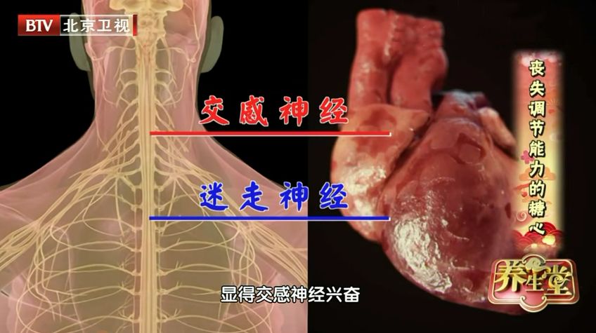 正常人运动的时候交感神经兴奋,运动过后迷走神经占主导地位,心率很快
