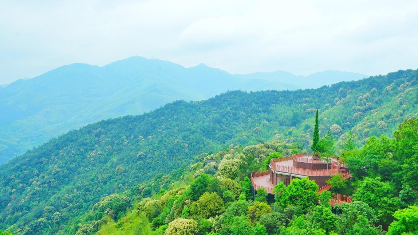 回归老家,亲近自然,乡约大余丫山(两天一夜自由行攻略)