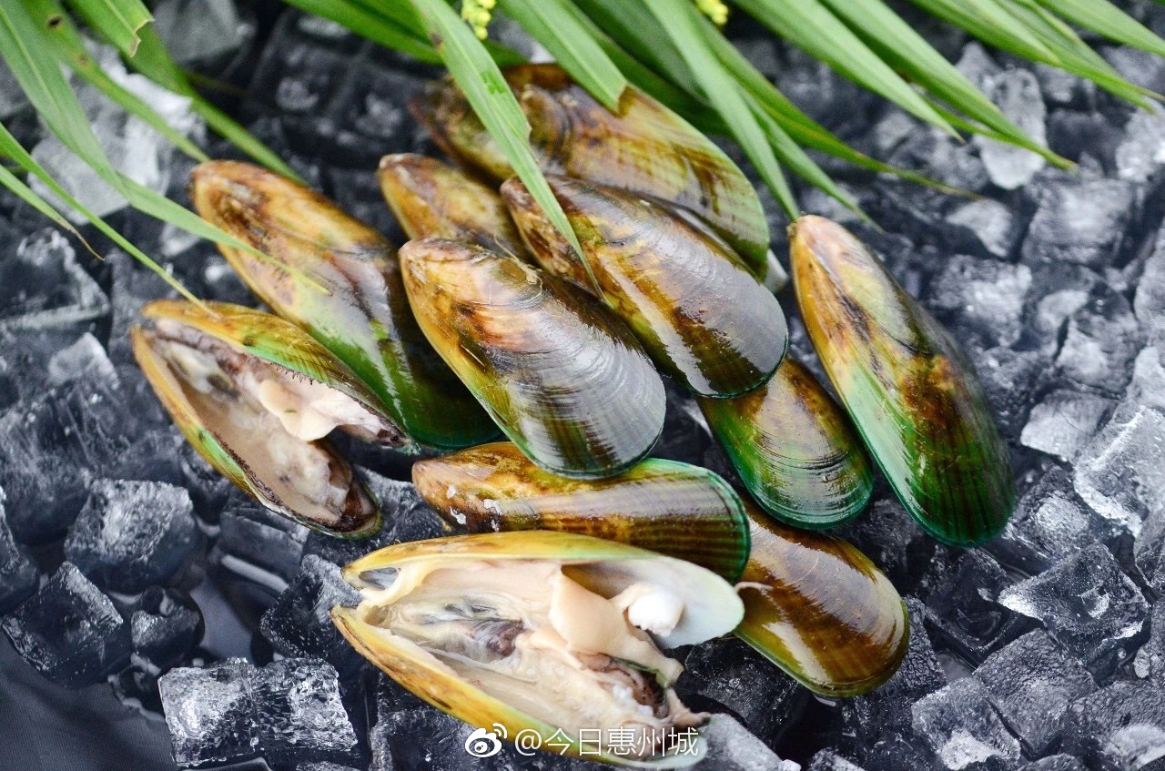 销售的带子和青口都有问题