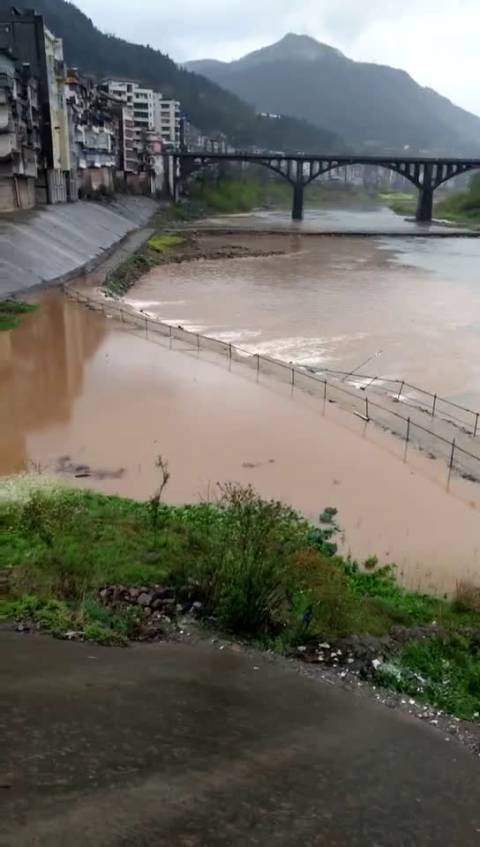 请把苍溪县东溪镇广元市苍溪县广元爆料天天快