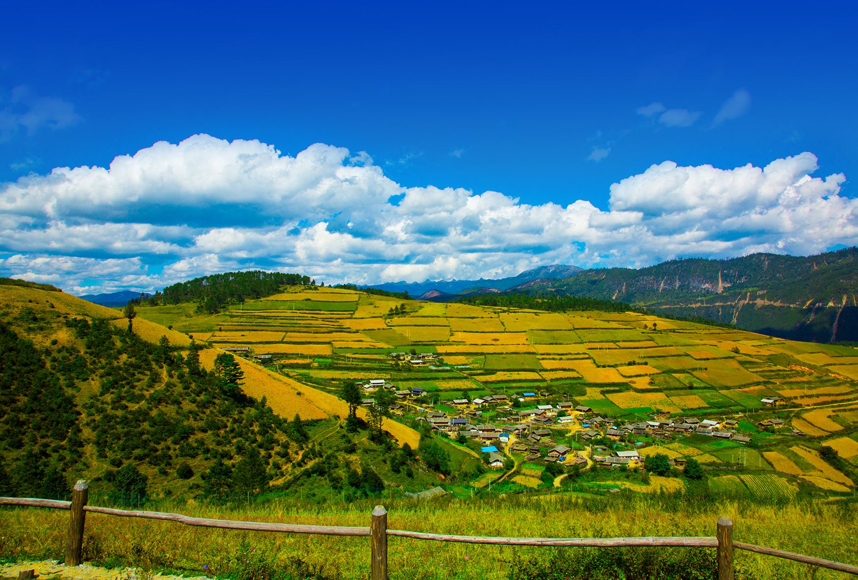 曾经的香格里拉有一个很普通的名字——中甸县,而自2001年改名为