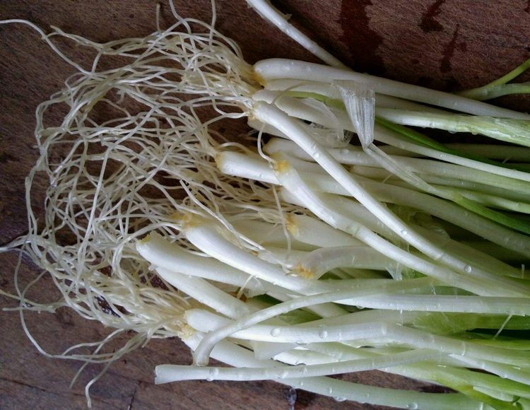 葱须摘下来别急着扔掉这么用通血管降血管
