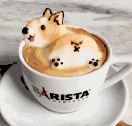 可爱度爆表的3d咖啡拉花,简直爱到犯规!