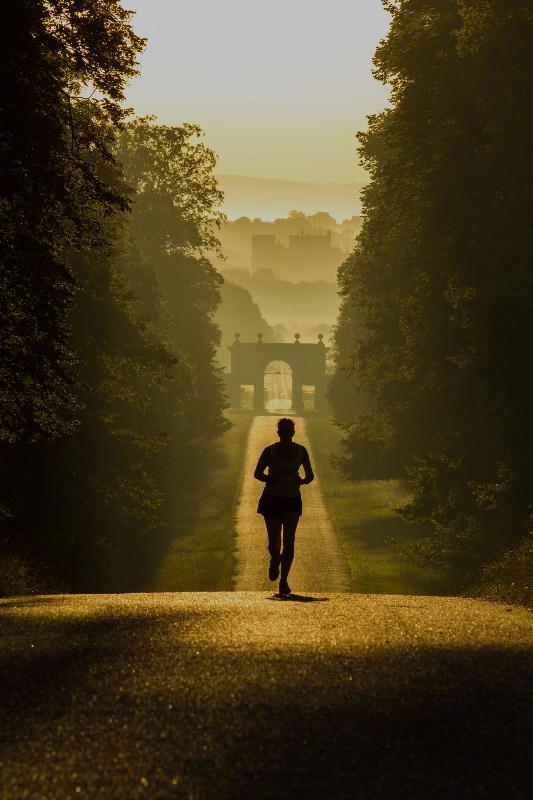 脚下的路,没人替你决定方向;心中的伤