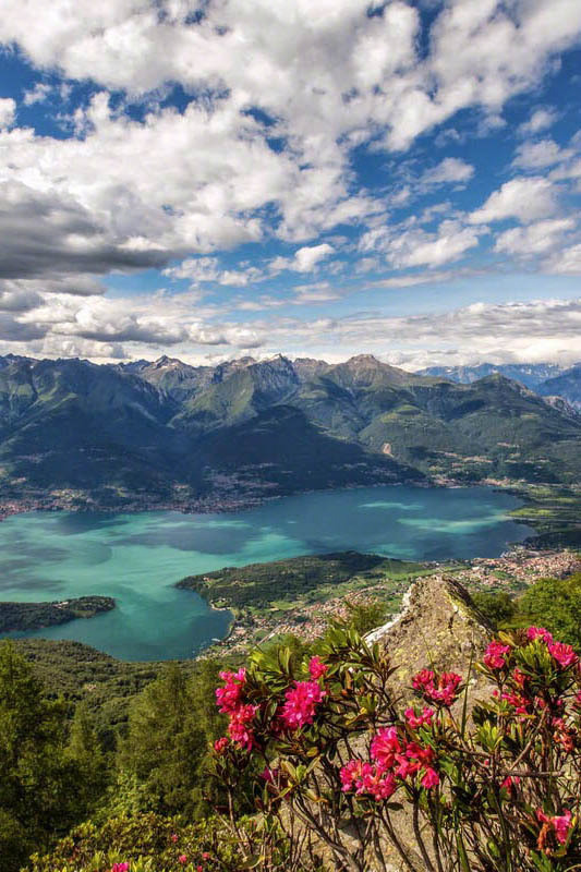 人生的风景,五彩缤纷.人生快不快乐看心情,幸不幸福要看心态