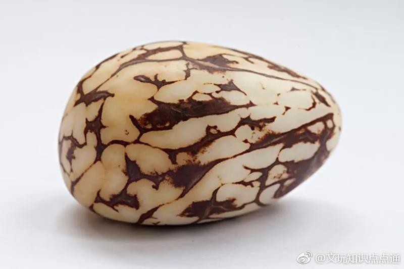 文玩界的小可爱象牙果