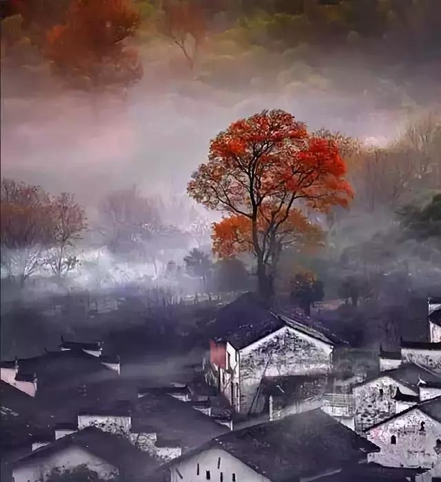 有一种风景叫中国古典美|留白|意境|一花一草_新浪新闻