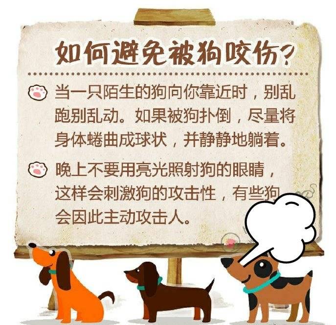 大学女生被成群流浪狗撕咬校方曾打狗但遭爱狗人士反对