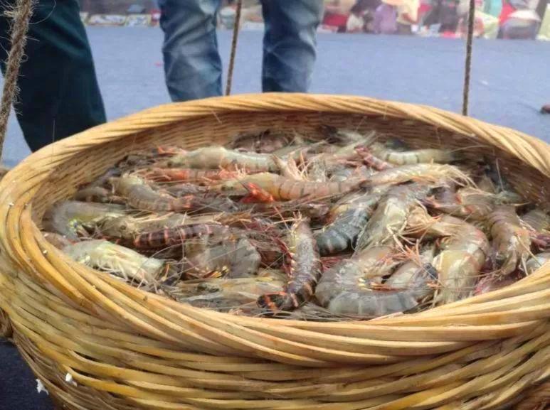 广西开海啦! 海鲜跌成白菜价, 最便宜的才3元一斤